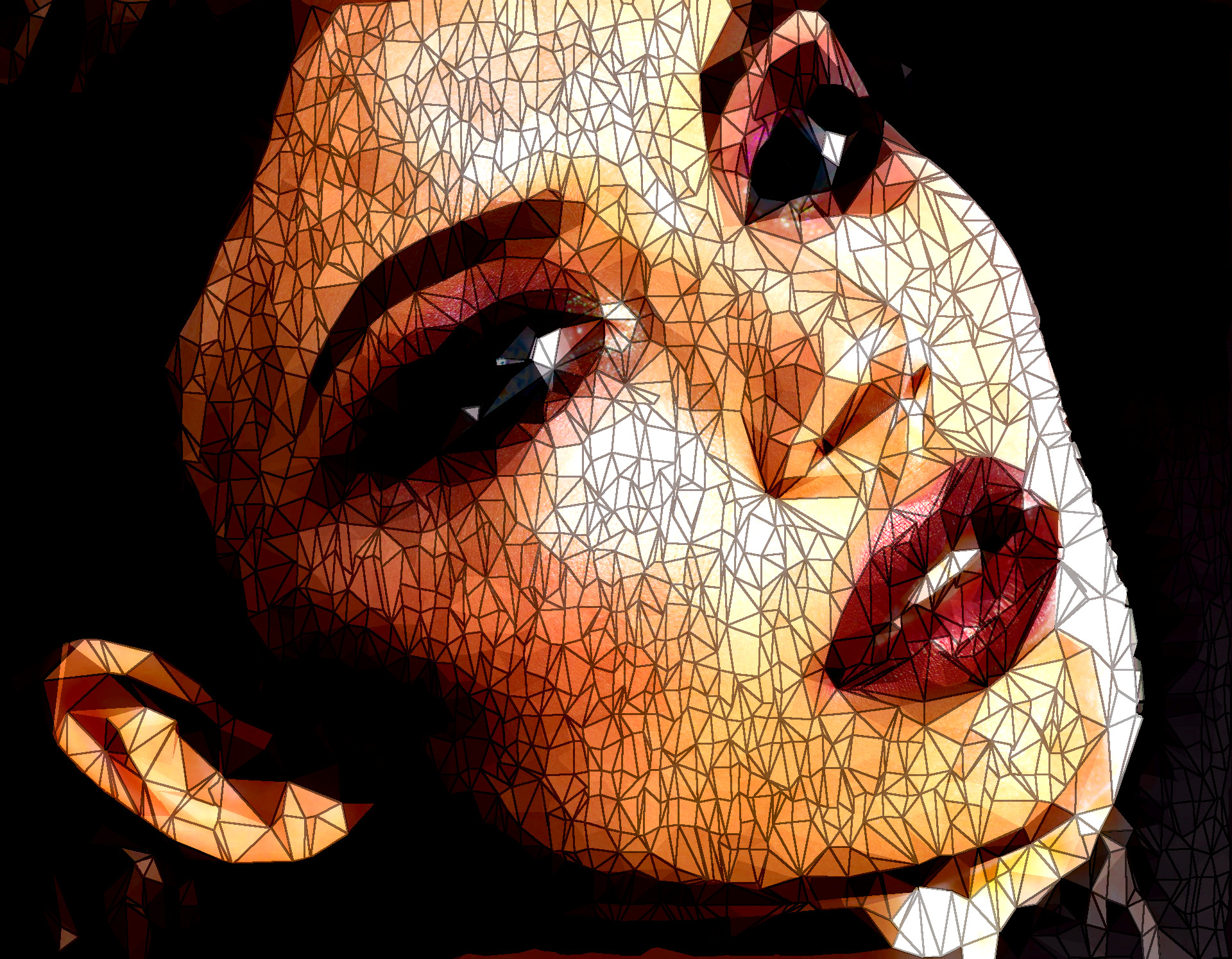 2020-02-18 15-48-43woman-3096664_1920 with a guided polygonize effect, option strong polygons (pp).jpg