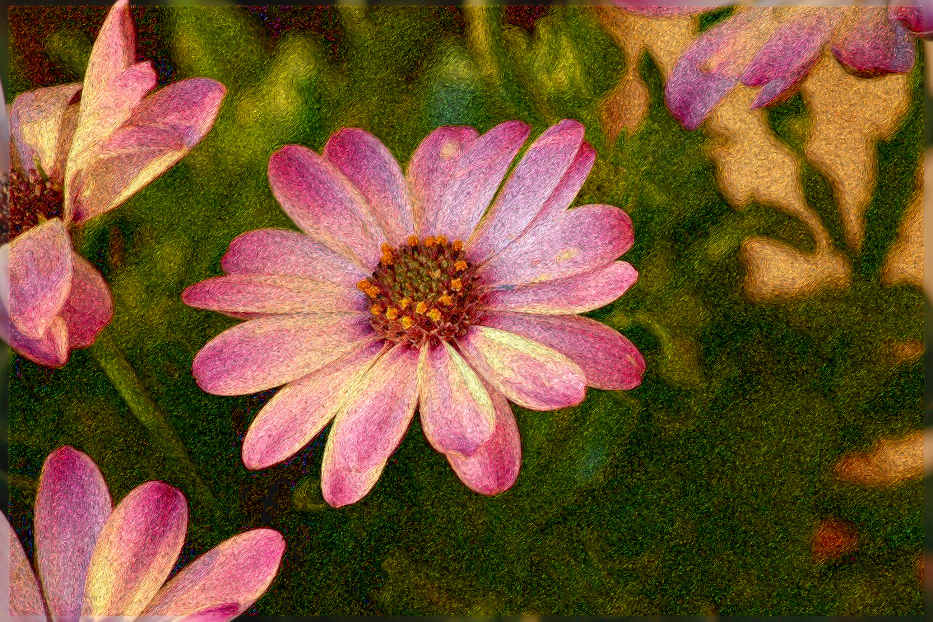 bornholm-marguerite-3442752_DN_PaintWithHairLocks_Issa.JPG