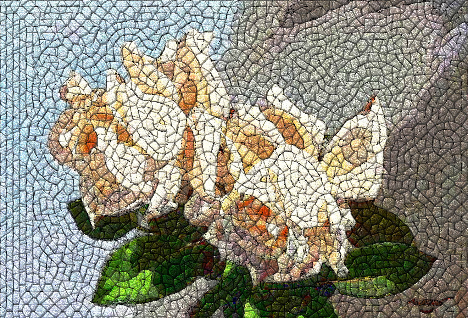 2 white_rosas_DN_GuidedMosaic2_Issa.JPG