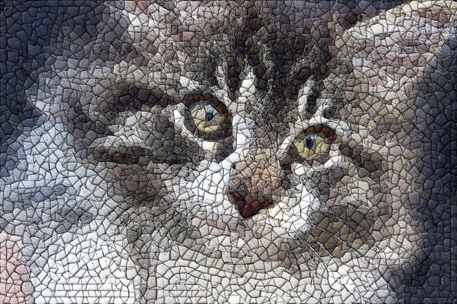animals-3687796_DN_BordersGuidedMosaic2_Issa.JPG