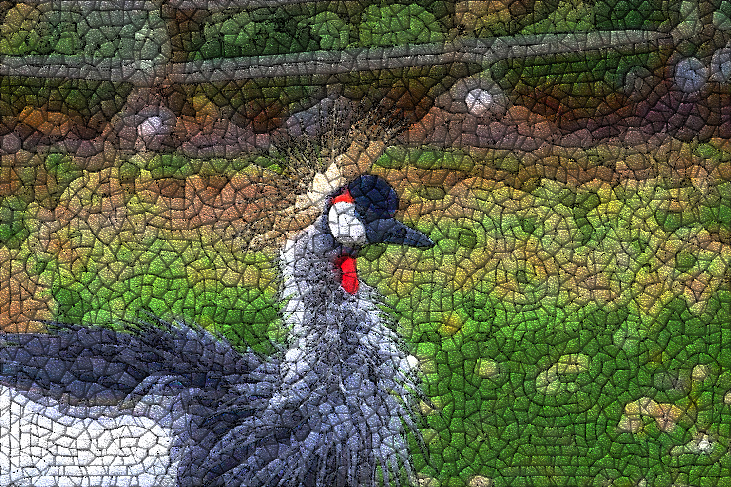 bird-4852628_DN_GuidedMosaic2_Issa.JPG