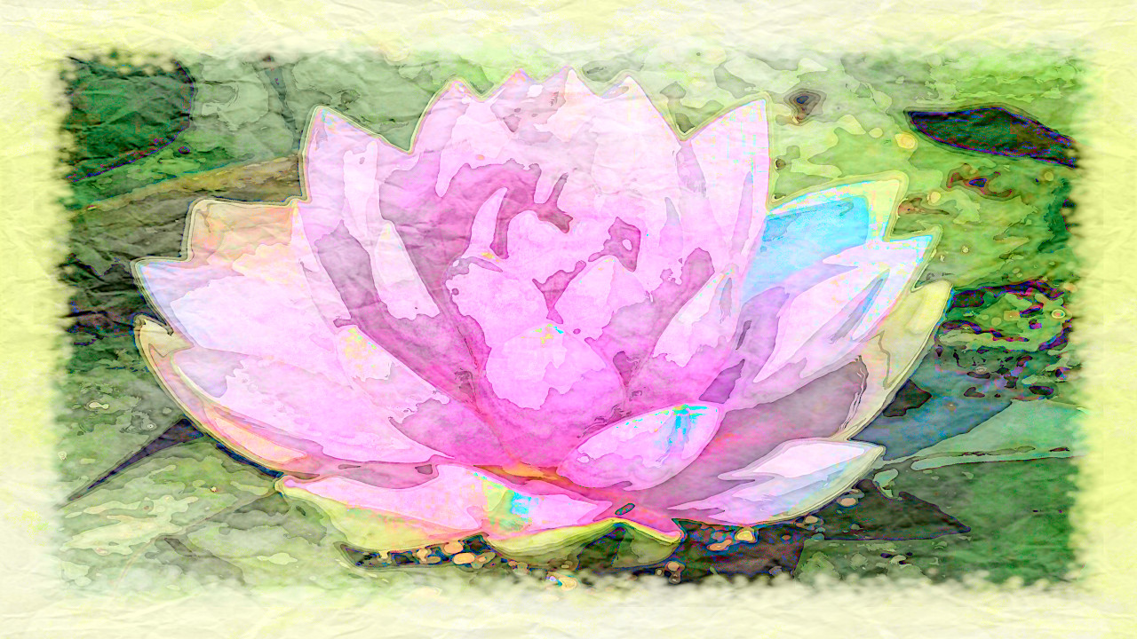 water-lily-3504363_L_DN_AquarellePlus_Issa.JPG