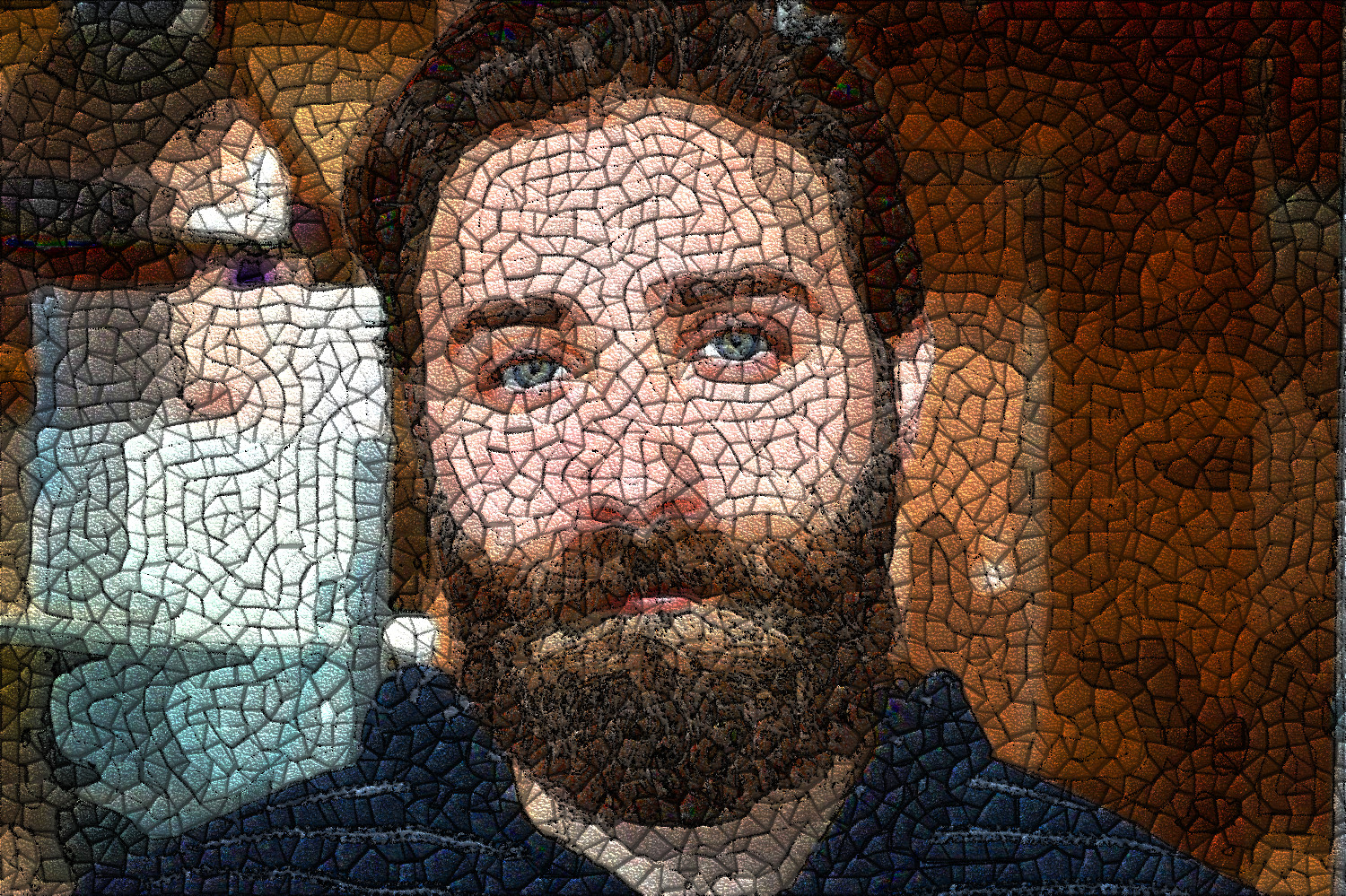 beard-1845166_DN_GuidedMosaic2_Issa.JPG