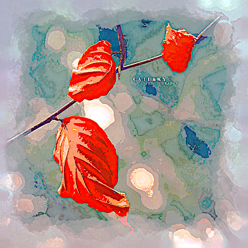 2020-03-26 06-39-22 ddpq52z-22de941a-e5a7-4508-ae25-ac123be65b20 as a digital aquarel, using18 colours, source flower, look contrast plus.jpg
