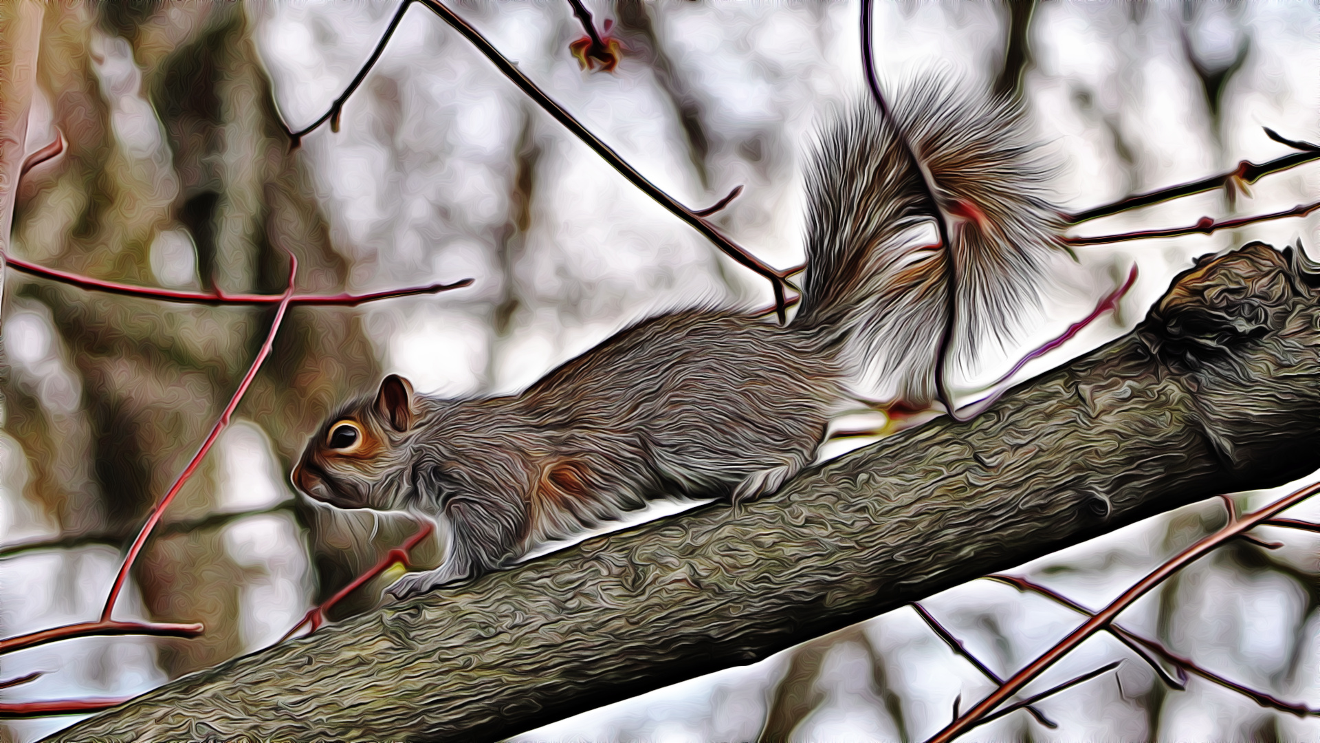 Squirrel.JPG