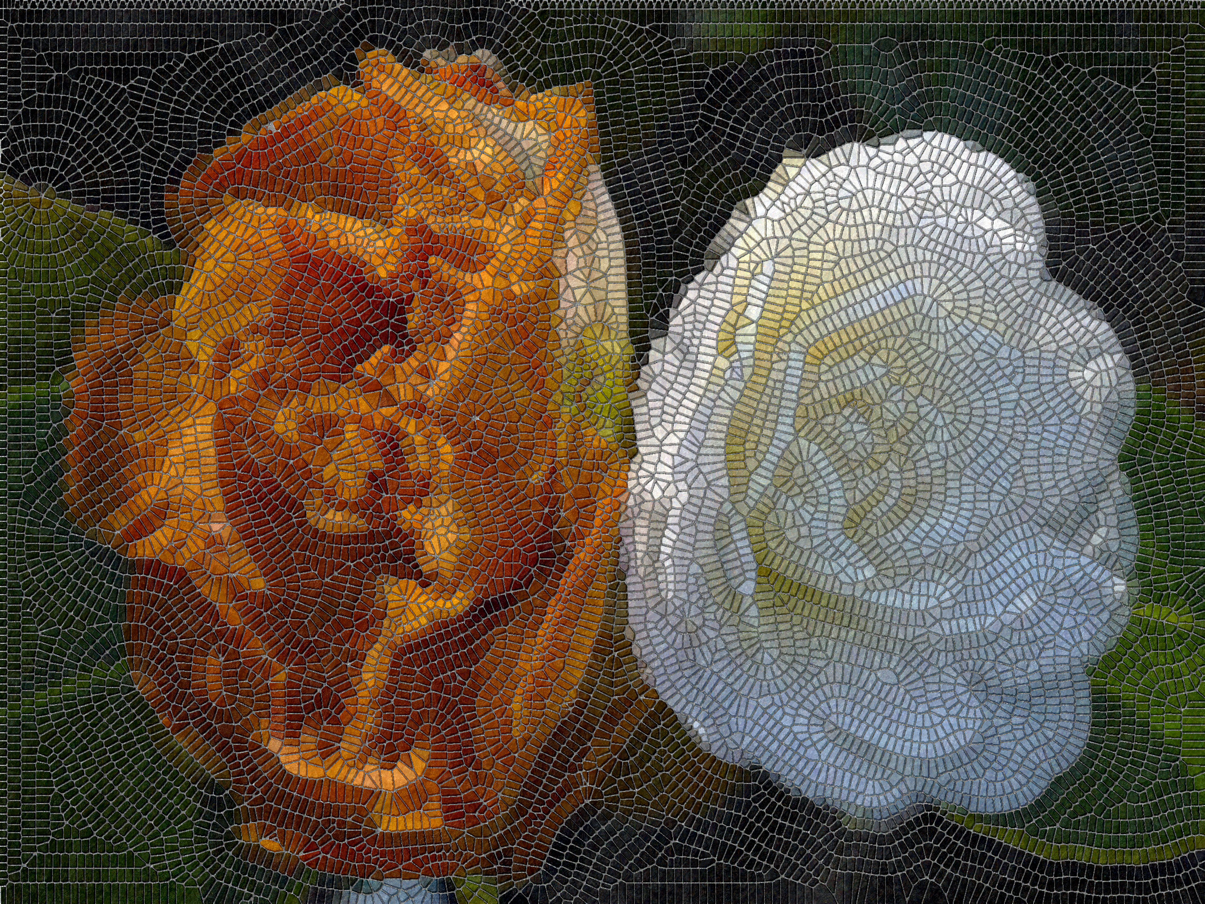 P1300878_mosaic.jpg