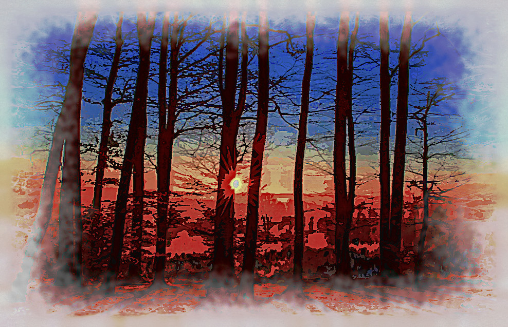 2020-04-20 06-24-58 forest-1950402_960_720 as a digital aquarel, using18 colours, source forest, look dark plus.jpg