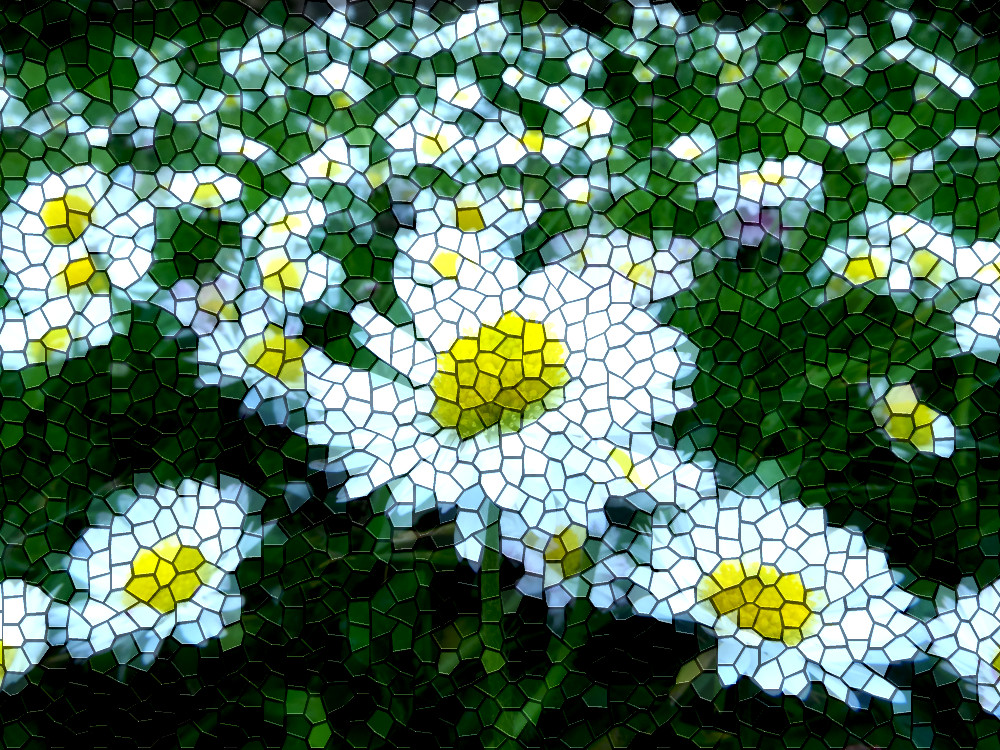 daisy.jpg