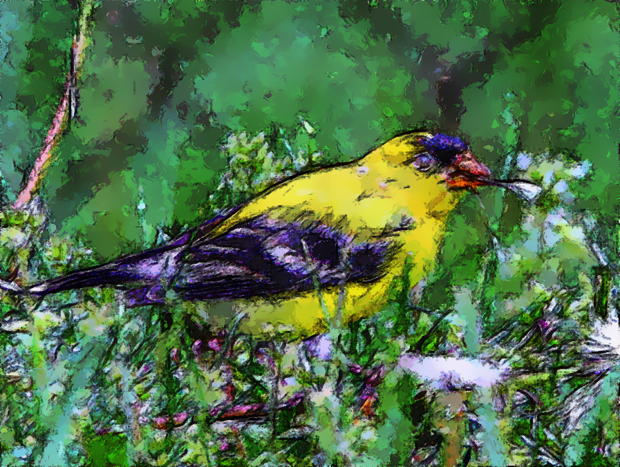 Golden-Finch-Sketch.png
