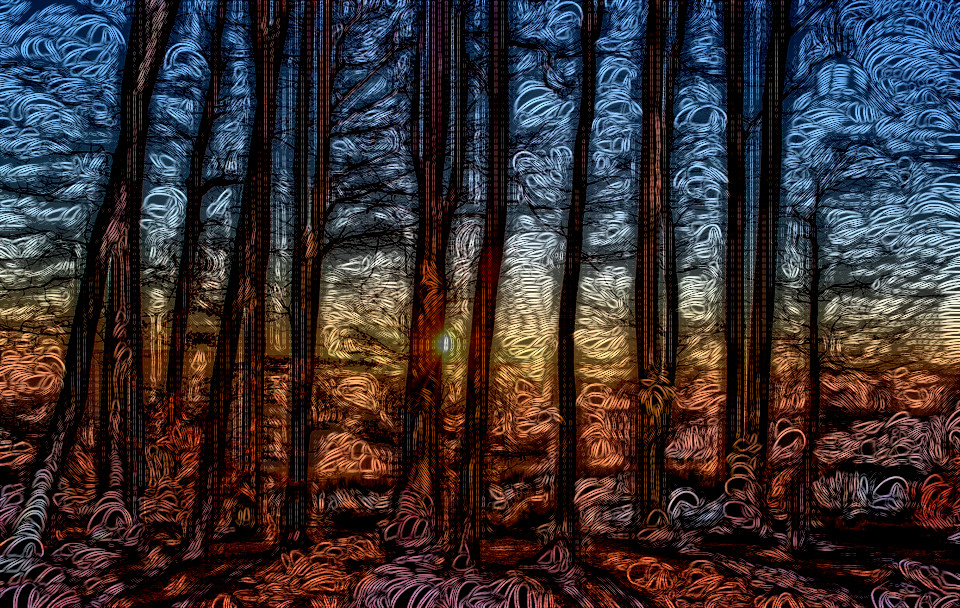 2020-05-09 06-00-54forest-1950402_960_720 with a drawing effect using G'MIC Diffusion Tensors (Lyle Style).jpg
