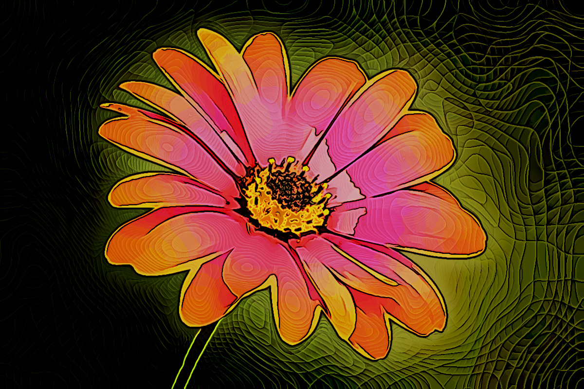 Osteospermum-Colored-pencils.jpg