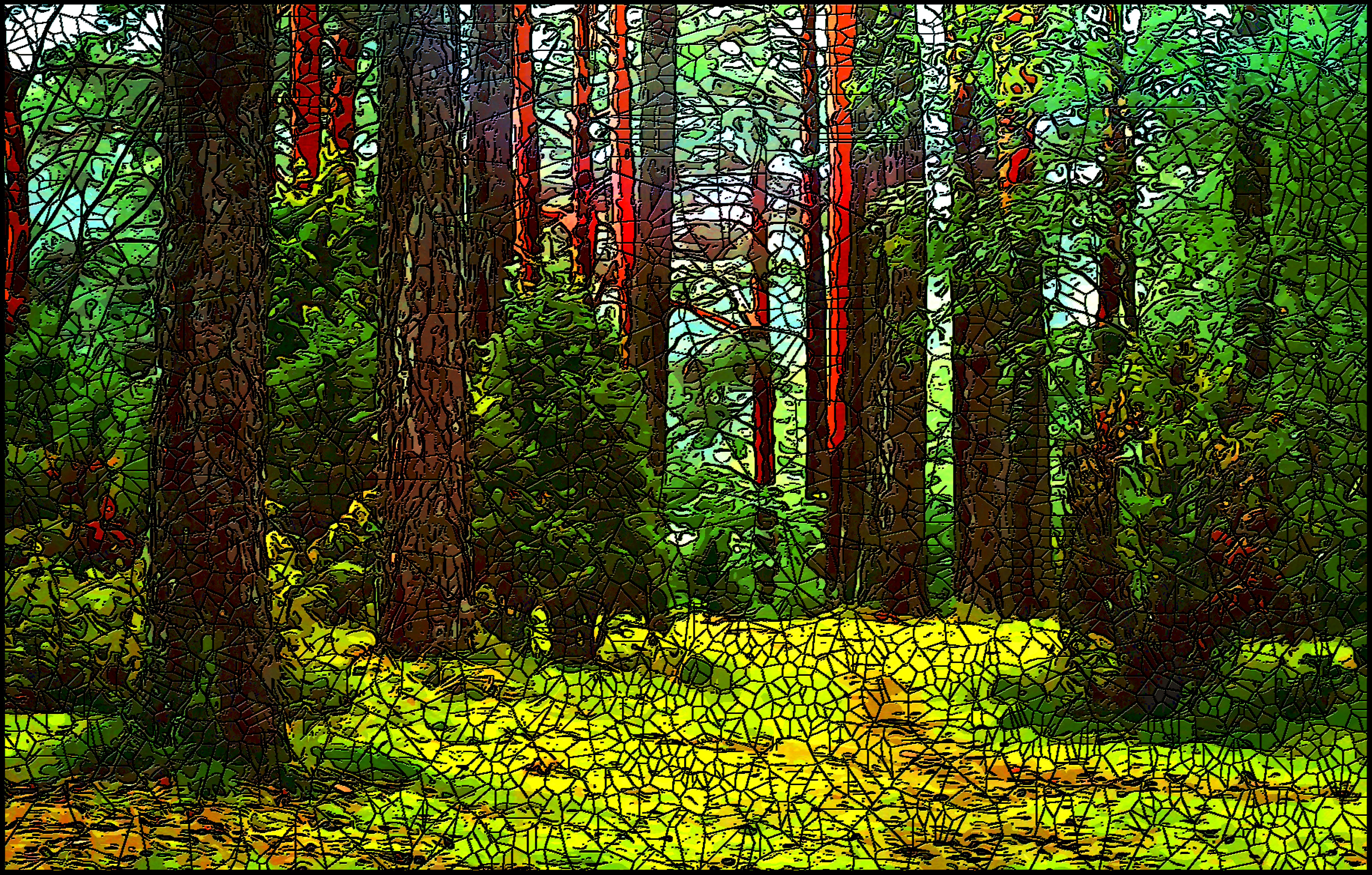 Play_Forest.jpg