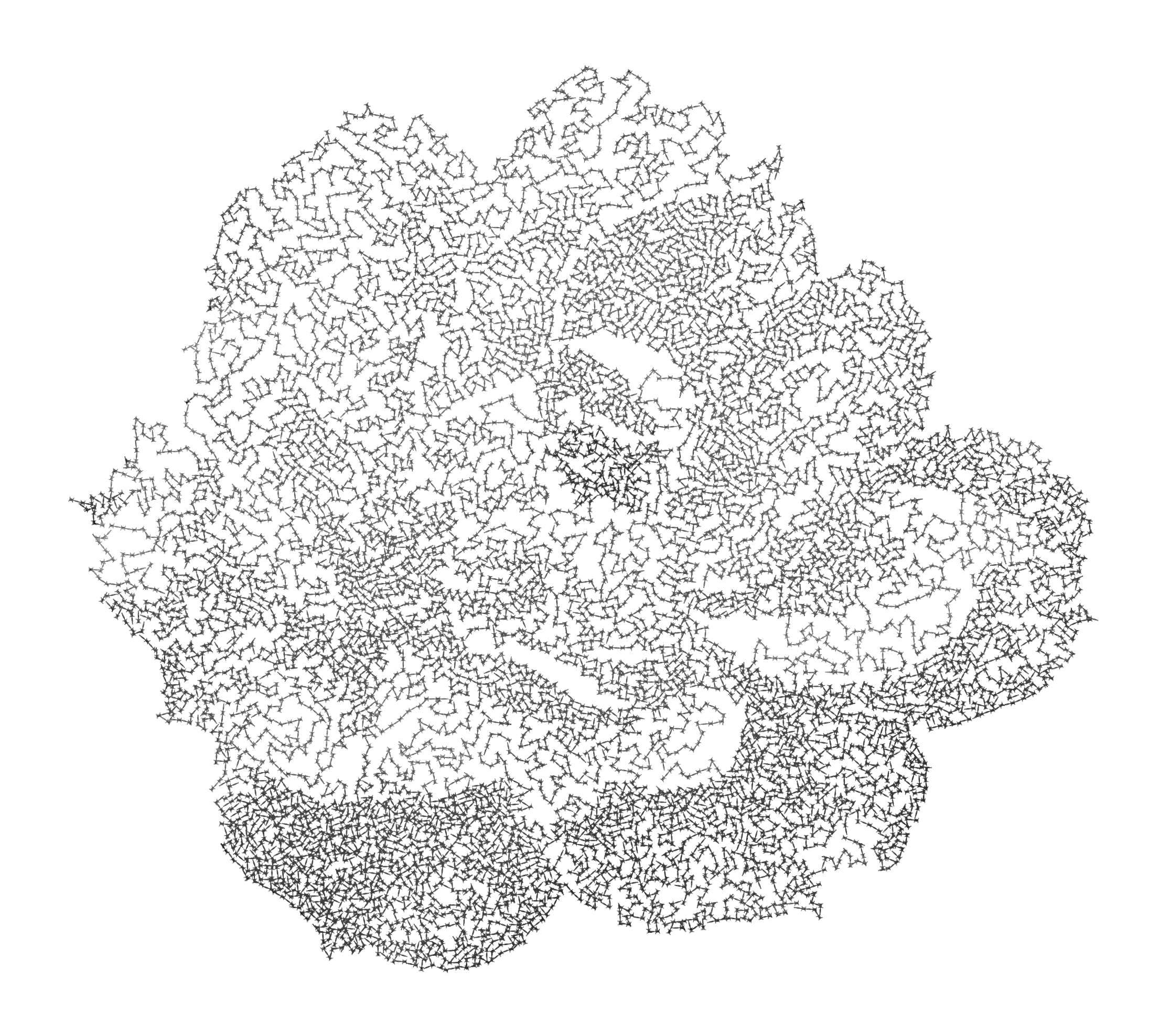 peachy_rosenn.png