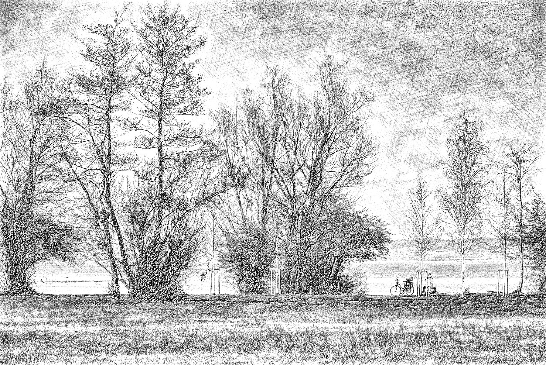 lake-constance-5037249_DN_DrawingEffects_B&W(GEGL desat C2G).jpg