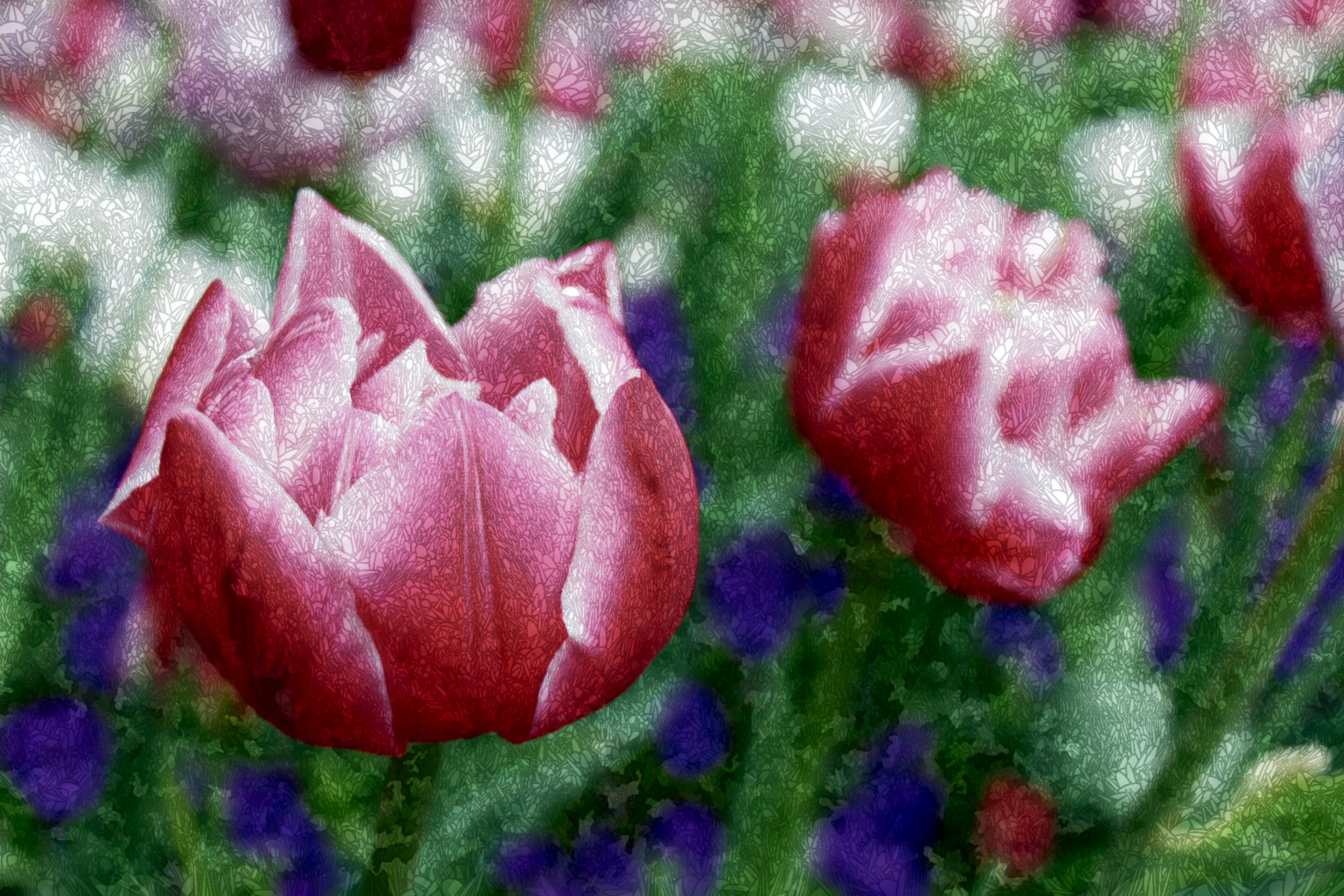 2020-09-15 07-04-24flower-2984757-1560x1040, with a draw effect style C (resolution=20) (size=16).jpeg