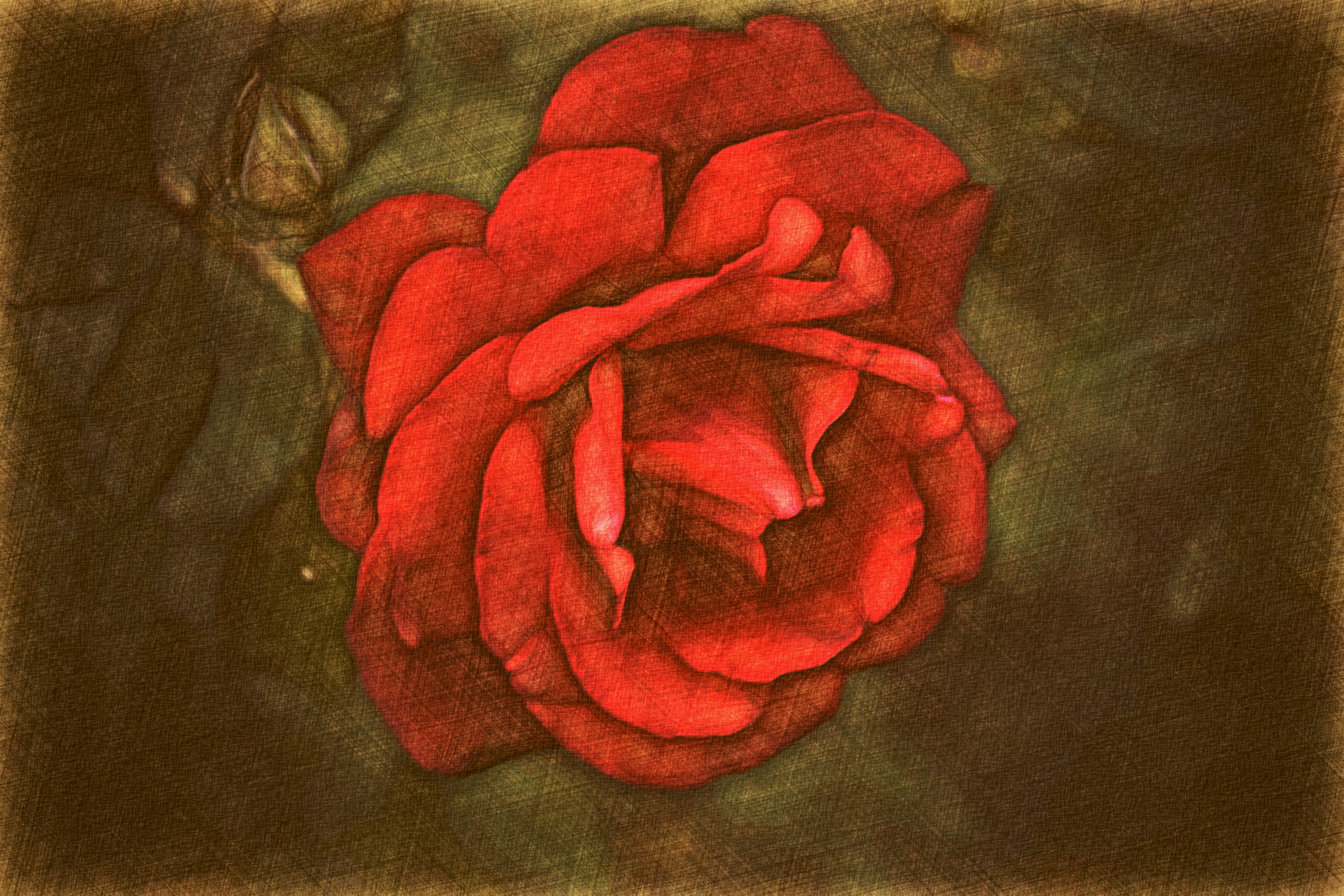 2020-09-28 10-46-06 _dsc0004__9__by_placi1_de5wpqn-fullview drawed in style D using option Vivid colours look (paper poppy).jpeg
