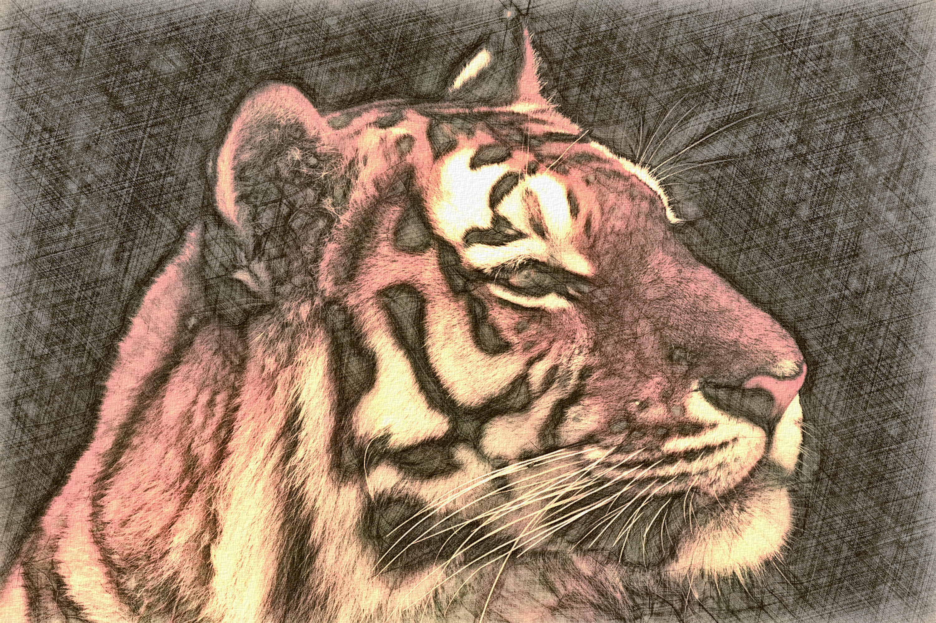 animal-5038384_DN_D_StyleD_LCD.jpg