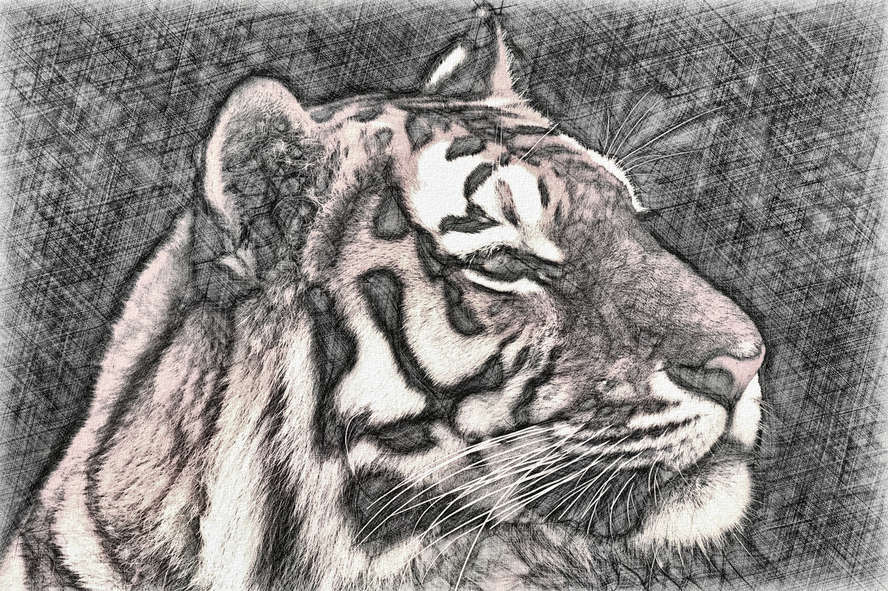 animal-5038384_DN_D_StyleD_RGD.jpg