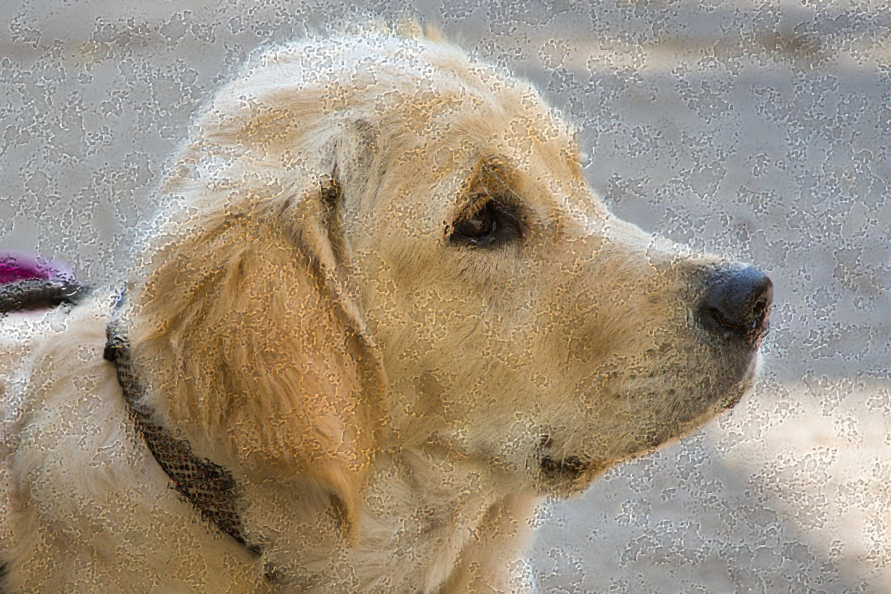 golden-retriever-5077570_DN_fimagnoise_mareroQ_ErodedGlass.jpg