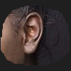 example.png