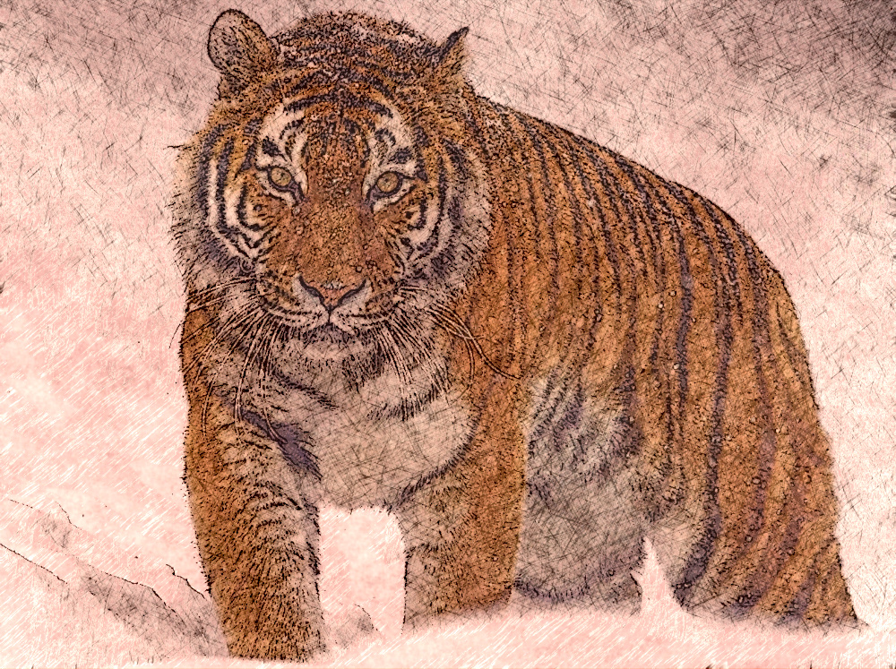 angry-animal-big-carnivore-302304-style-E.jpg