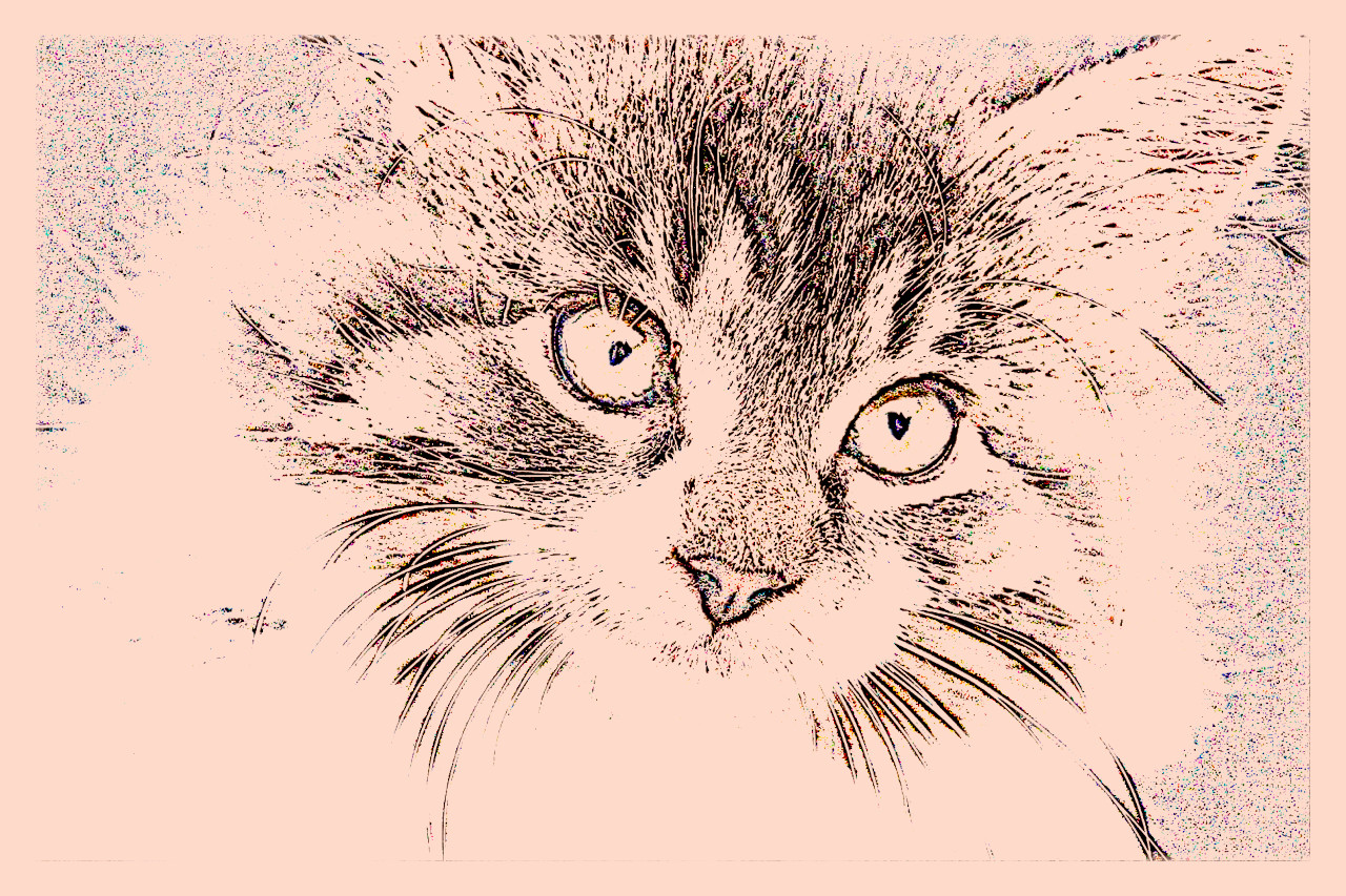animals-3687796_DN_DrawingStyleH_NoCanvas.JPG