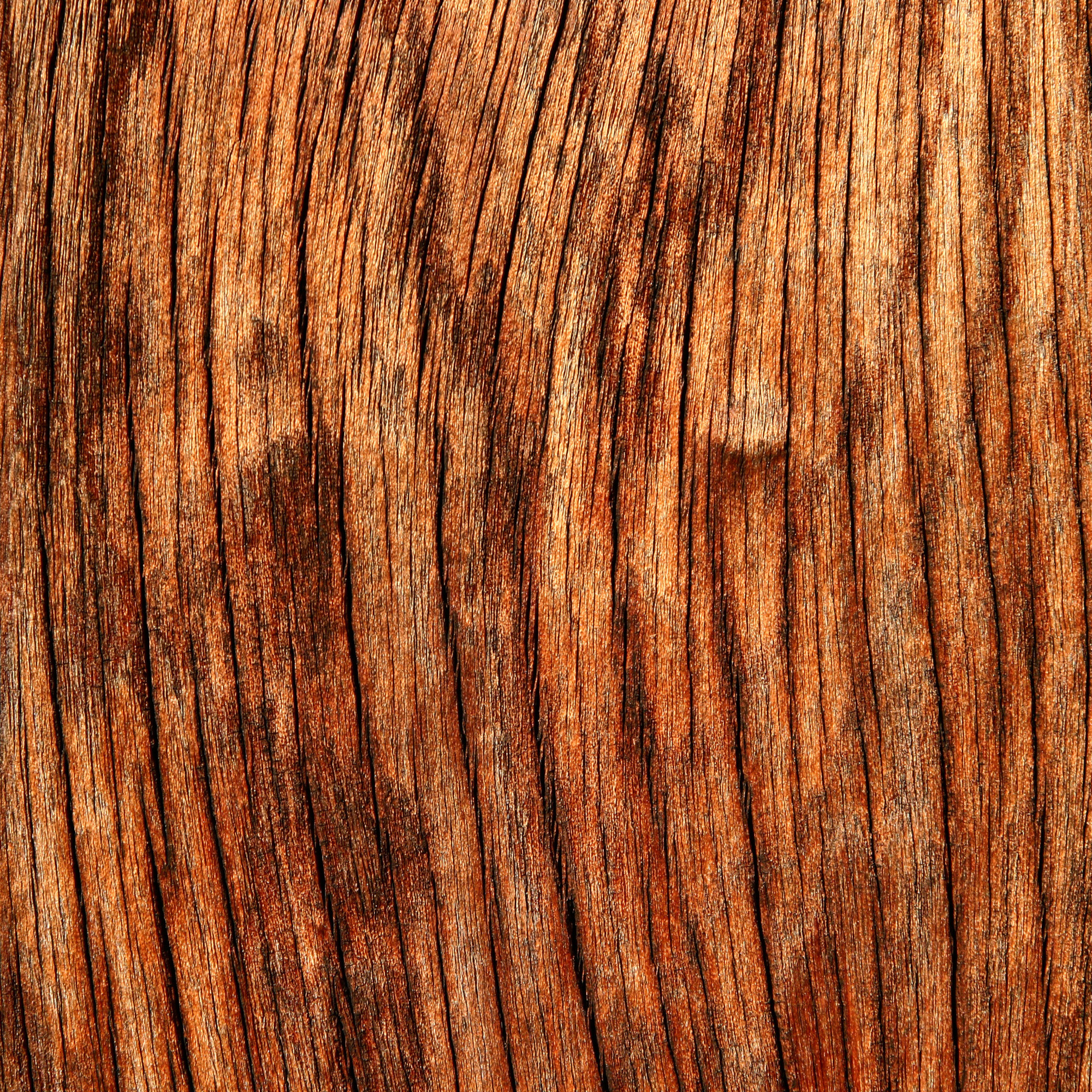 L_Wood-Wooden-Textures-for-Designers-5.jpg