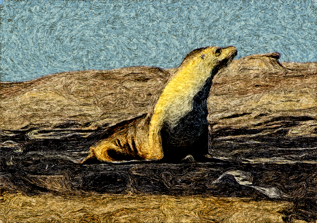 seal_esperance_diegok.png