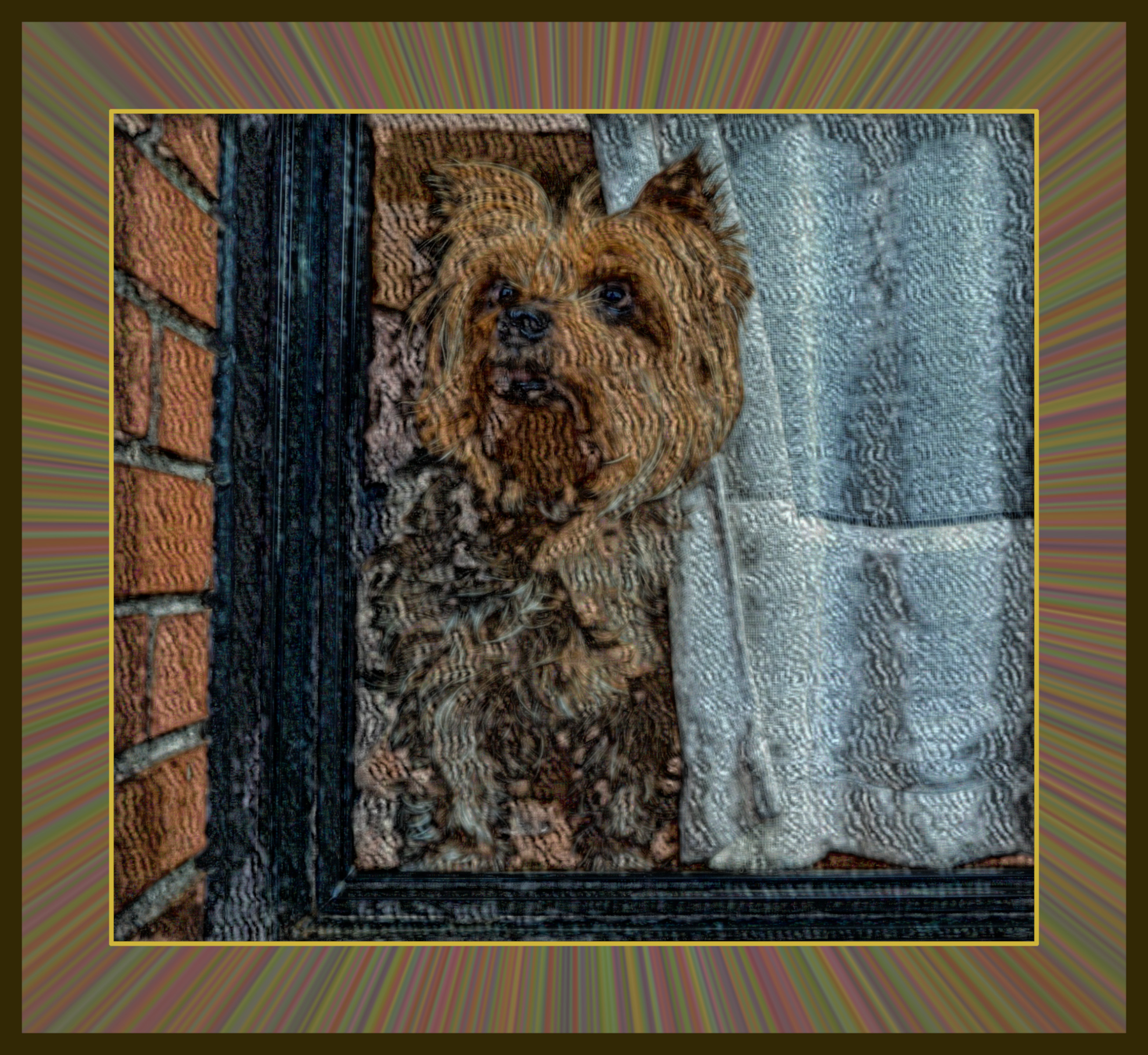 dog-4287819_DN_DrawEffect_F.jpg