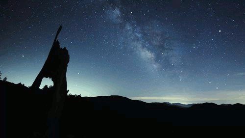 stars.gif