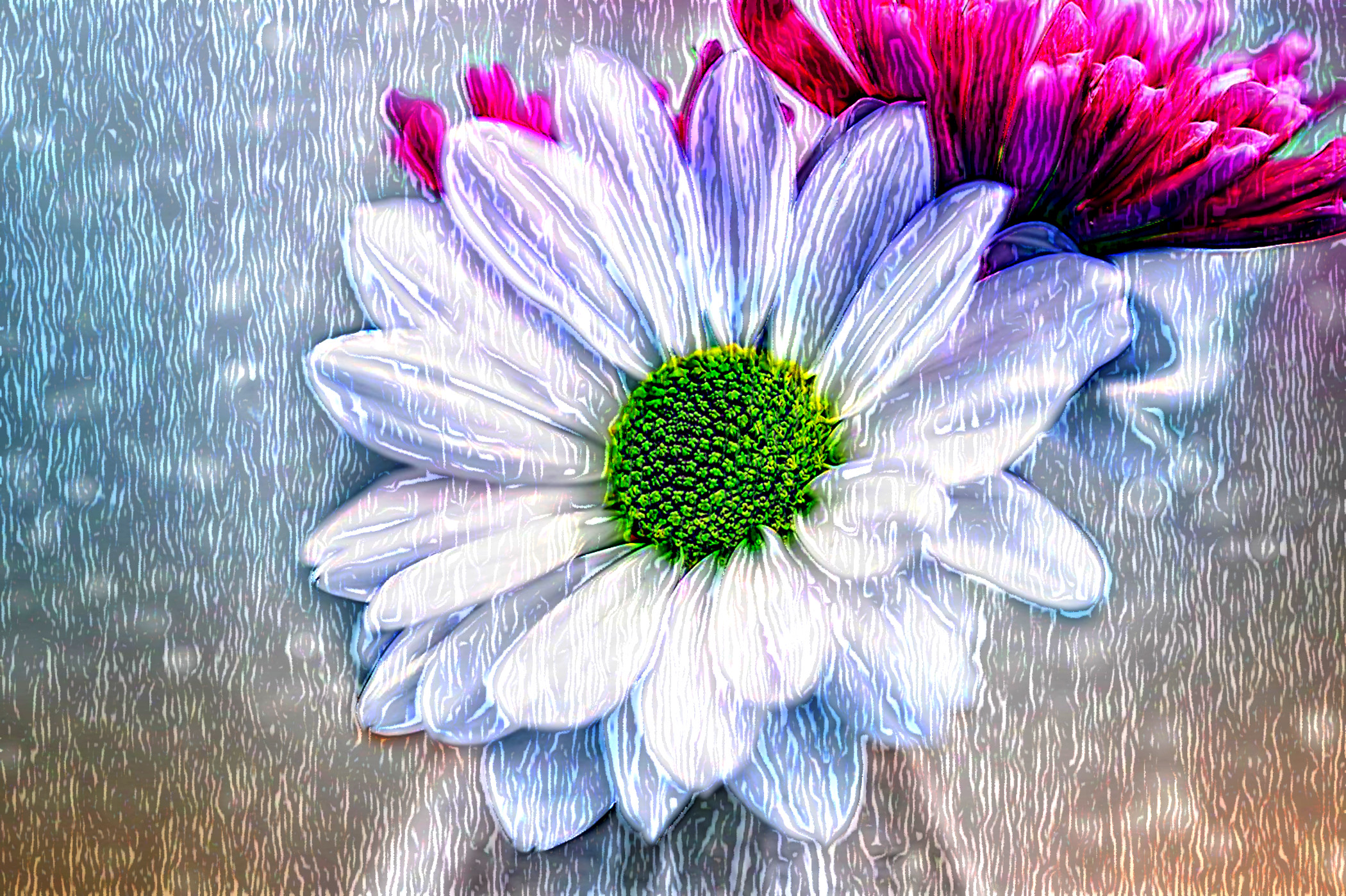 flowers-4893426_DN_DrawEffect_G2.jpg
