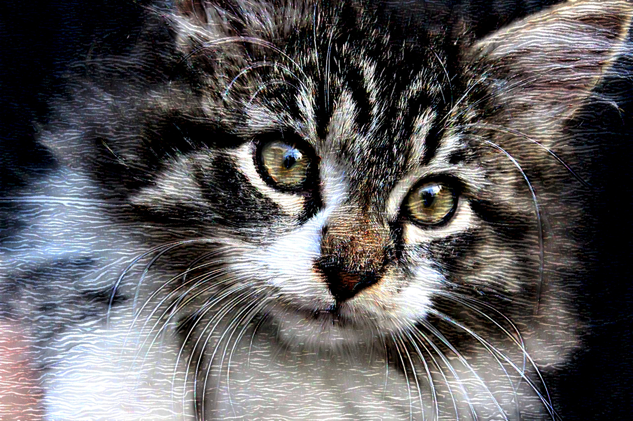 animals-3687796_DN_DrawEffect_G2.jpg