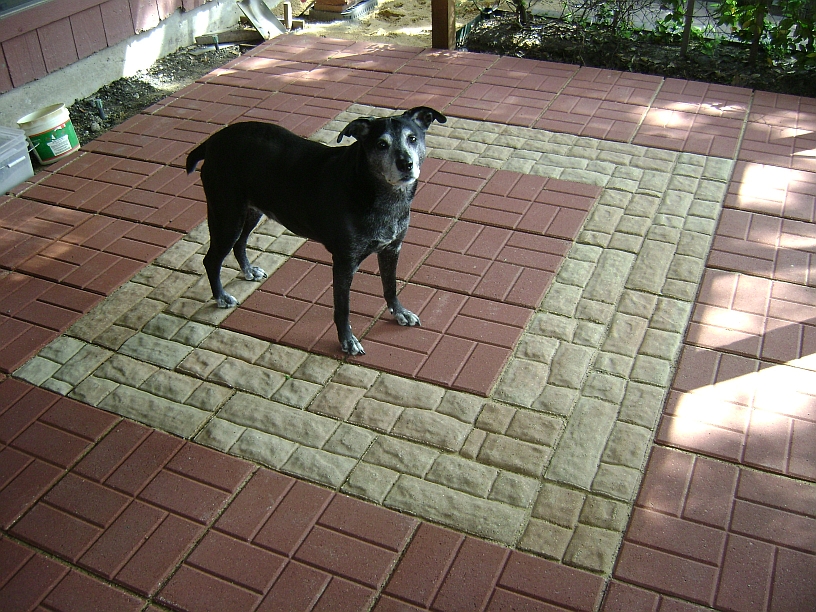 #10 - Finished Pavers.JPG