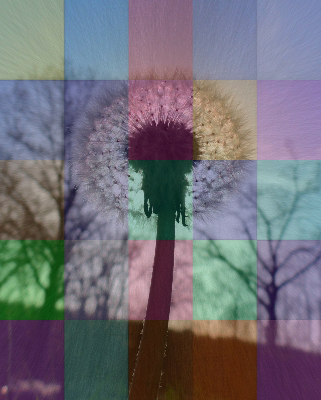 Abstract17small.jpg