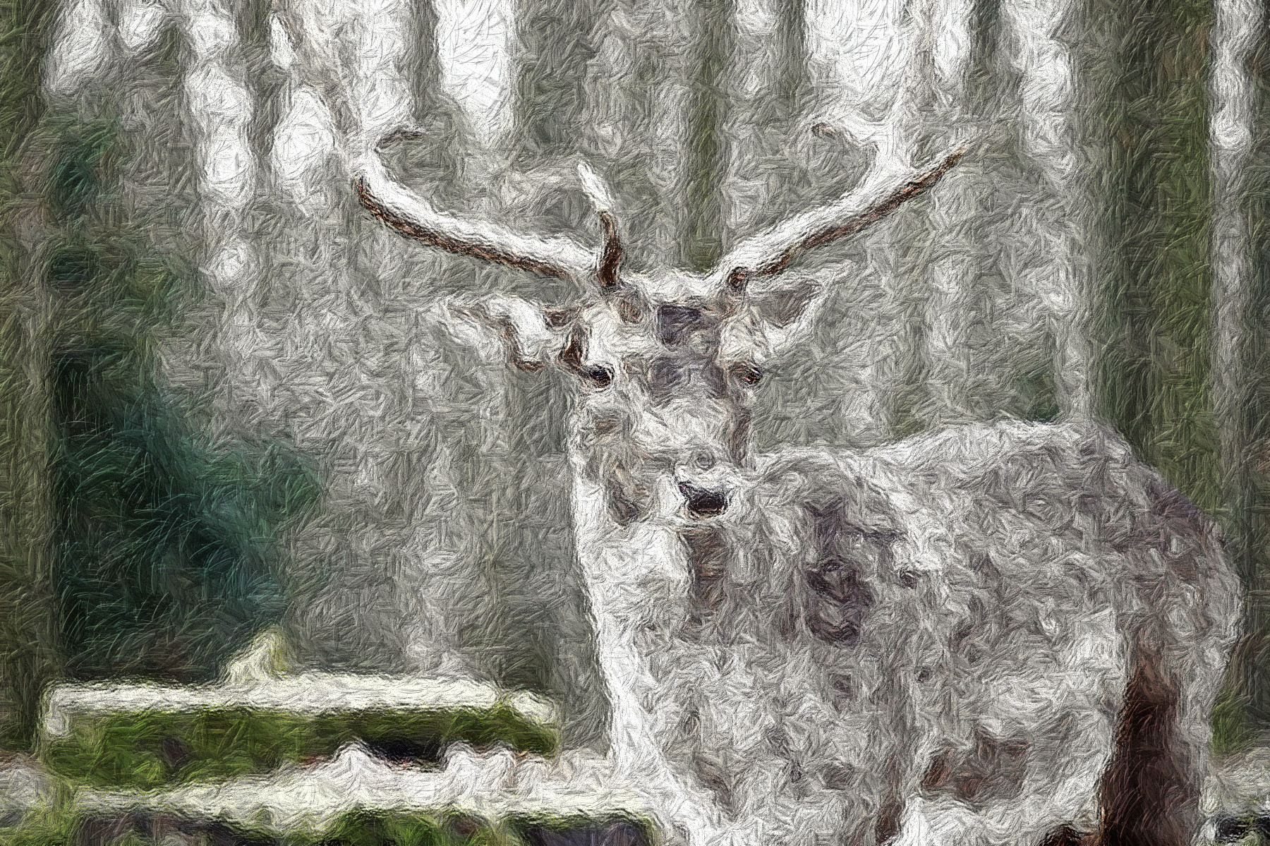 fallow-deer-4743238_DN_DrawEffect_N_silver.jpg