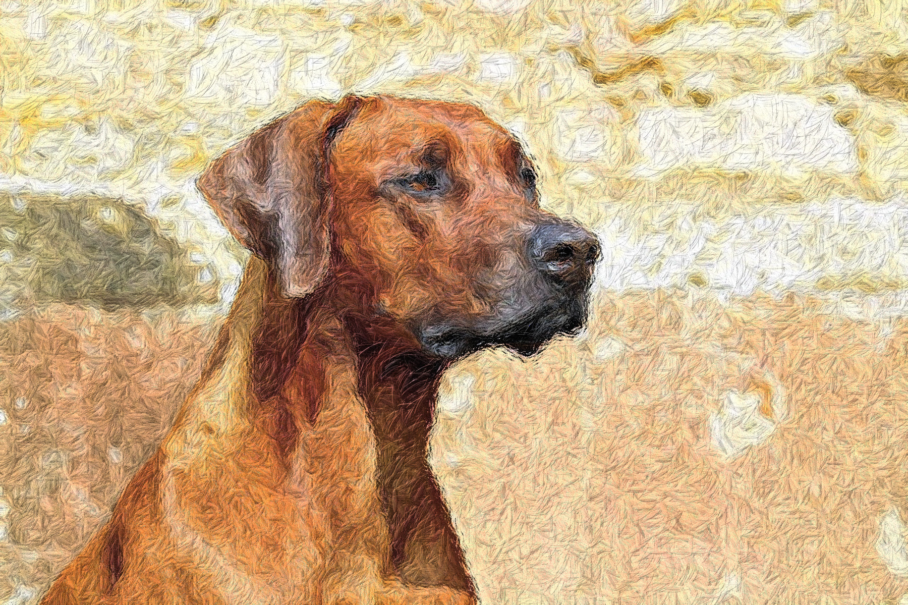 rhodesian-ridgeback-2727035_DN_DrawEffect_N_iron.jpg