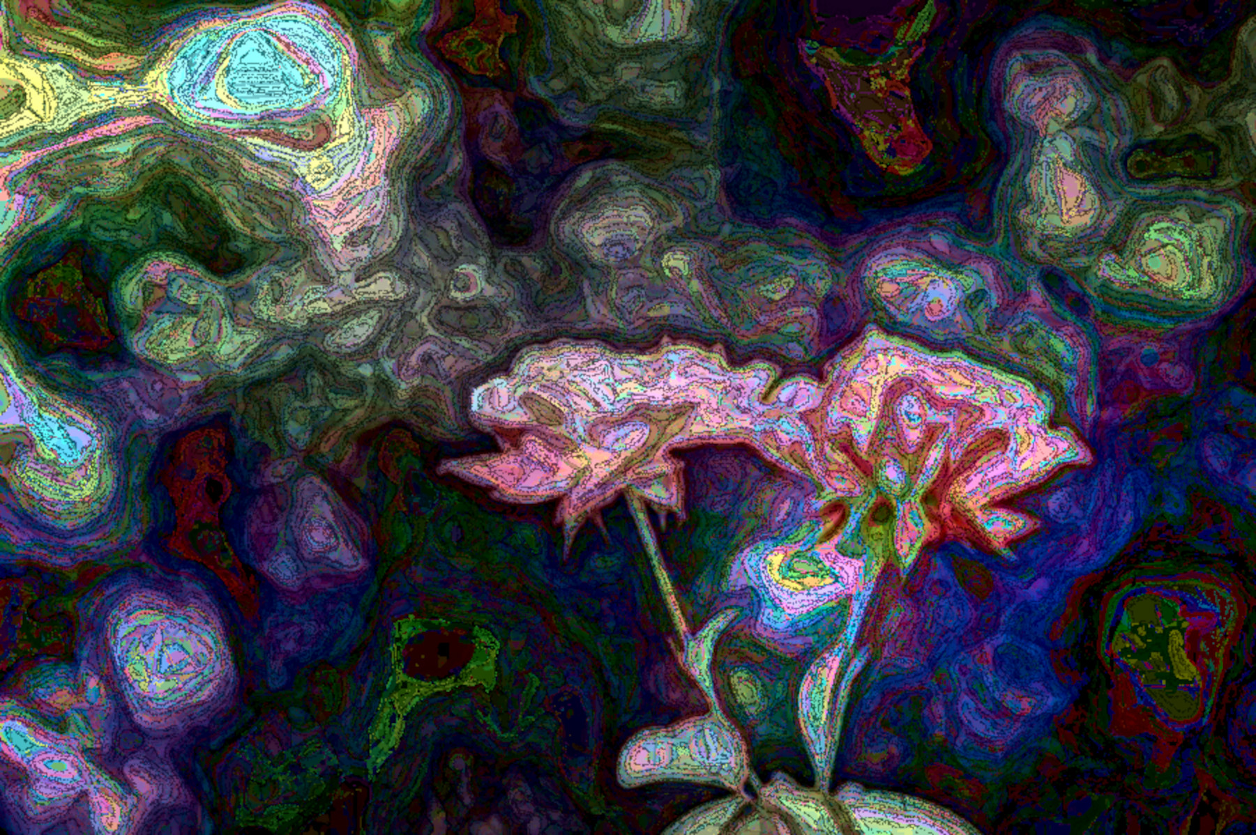 peach-2650233_DN_DrawEffect_O.jpg