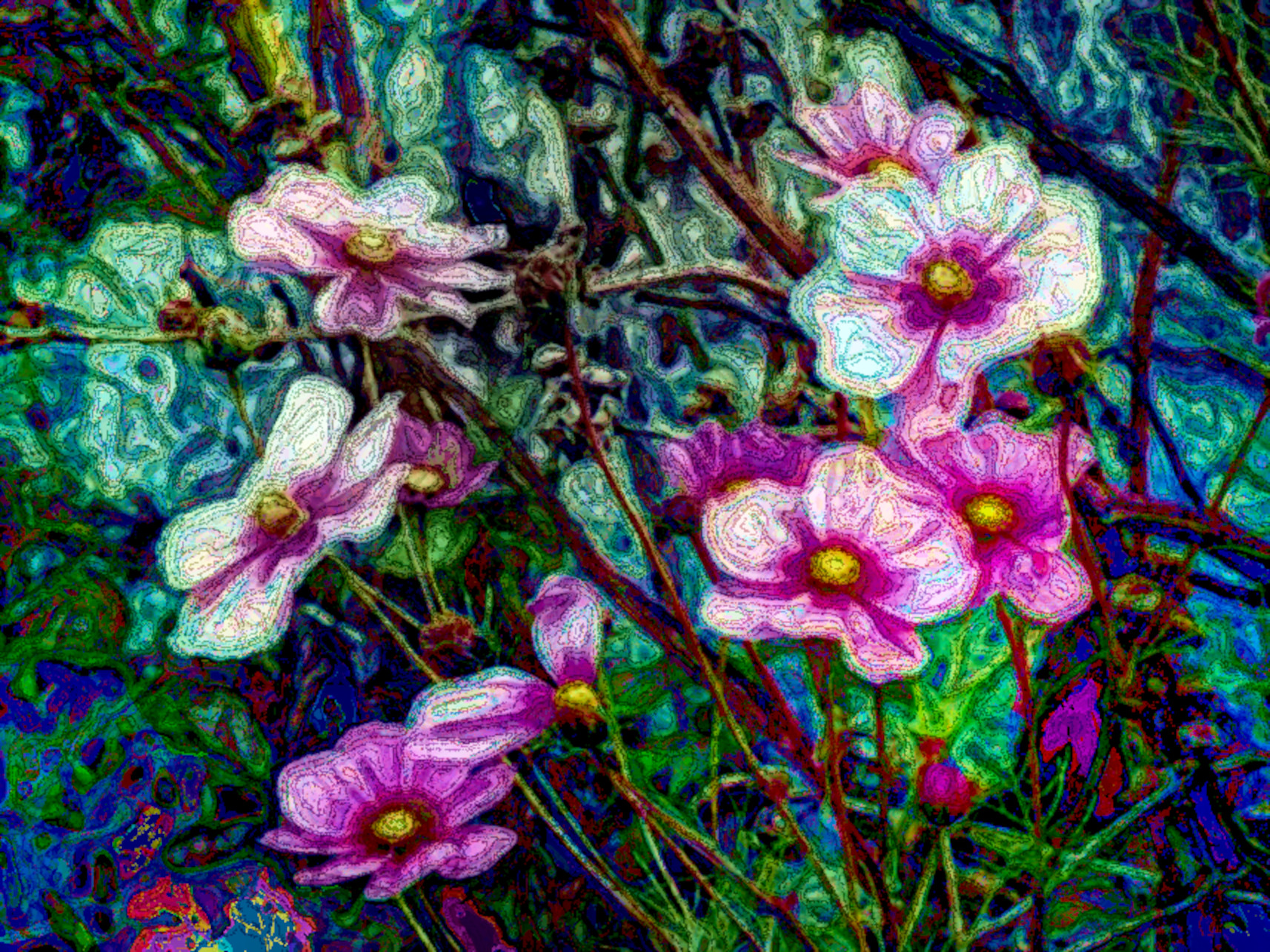 cosmos-4986853_DN_DrawEffect_O.jpg