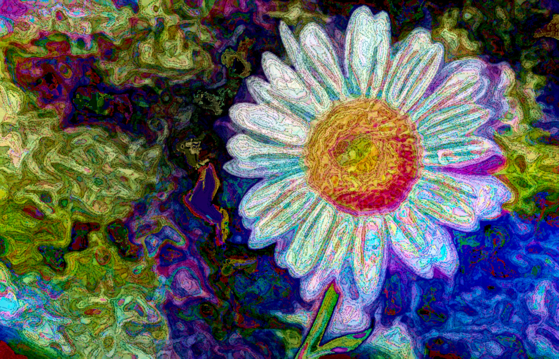 daisy-144677_DN_DrawEffect_O2.jpg