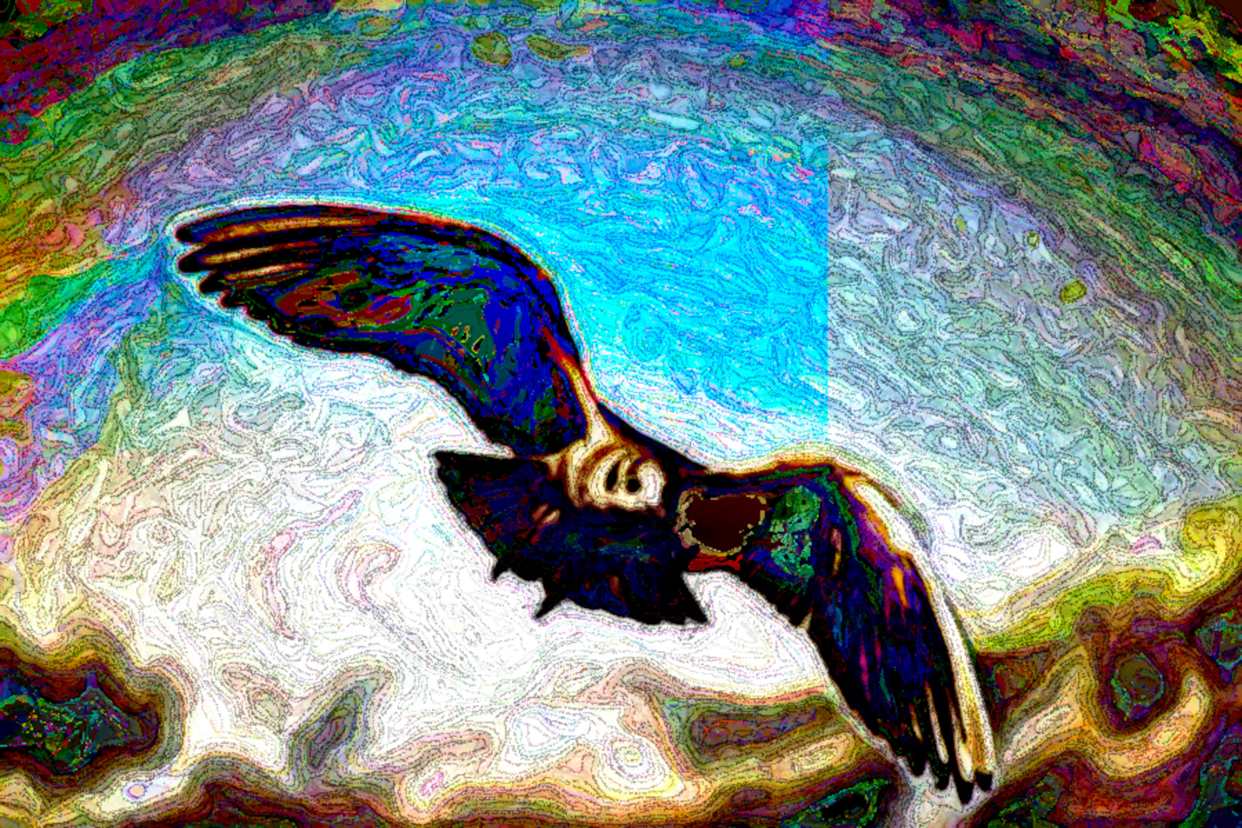 seagull_lake_balaton_nature_214570_DN_DrawEffect_O2.jpg