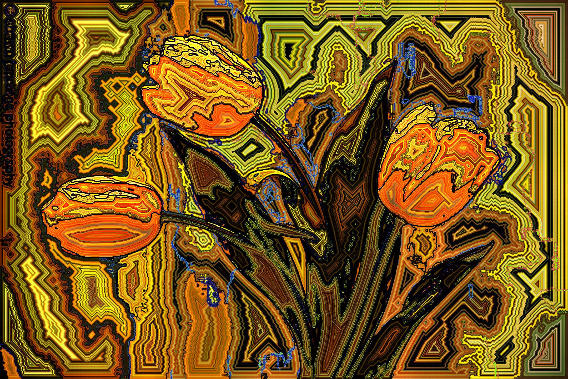 d72b295522d39678c4fbd40b3e3d8d36_DN_DrawEffect_P.jpg