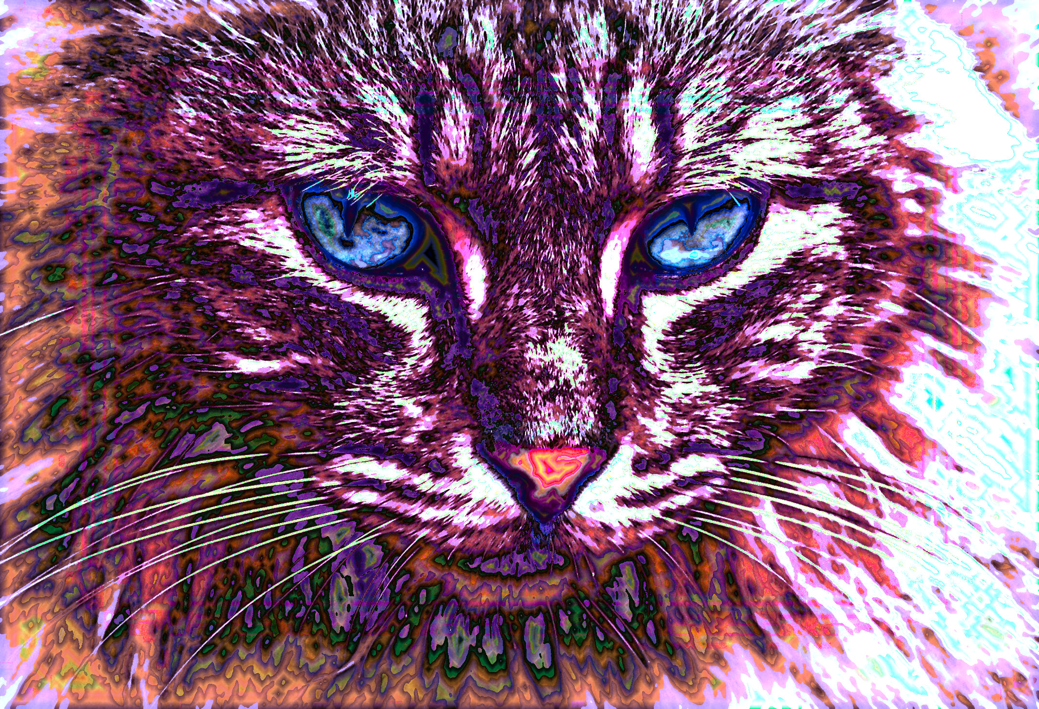 cat-1045782_DN_DrawEffect_P.jpg