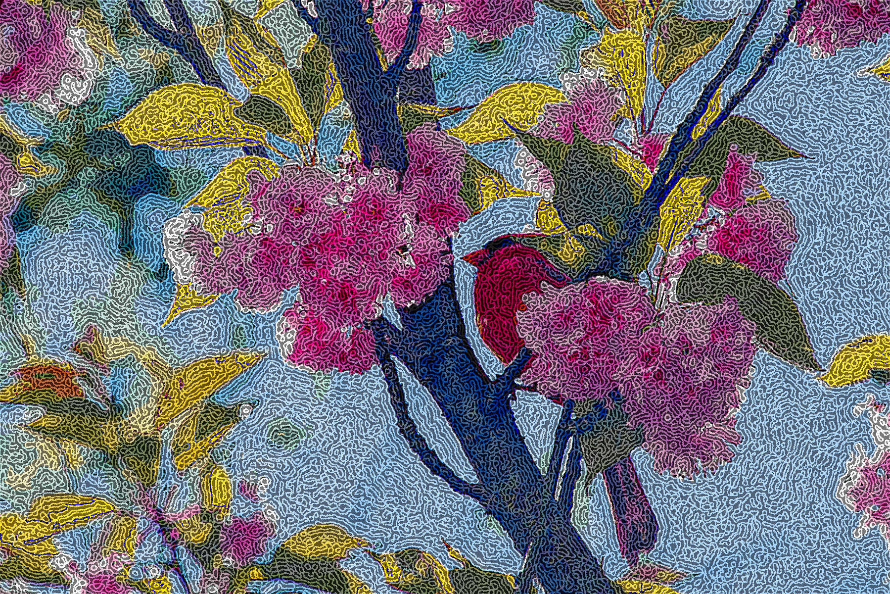 male_cardinal_in_the_pink_blossoms_4_by_miss_tbones_ded6xjnDN_DrawEffect_Q.jpg