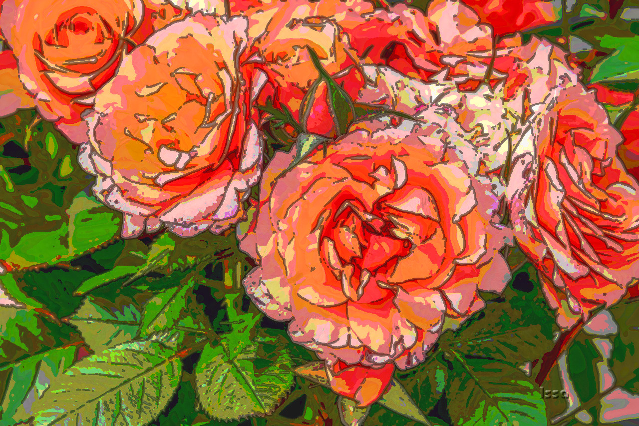 roses-3611502__DN_Tut_Graphic_Look_Issa.jpg