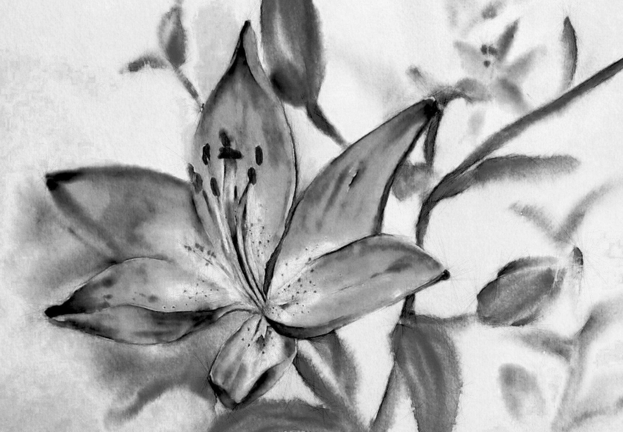 d6j2kcu-94aad3e3-3124-43c0-8fc9-54845d867e08_DN_DrawEffect_T_B&W_LinearBurn_nb.jpg