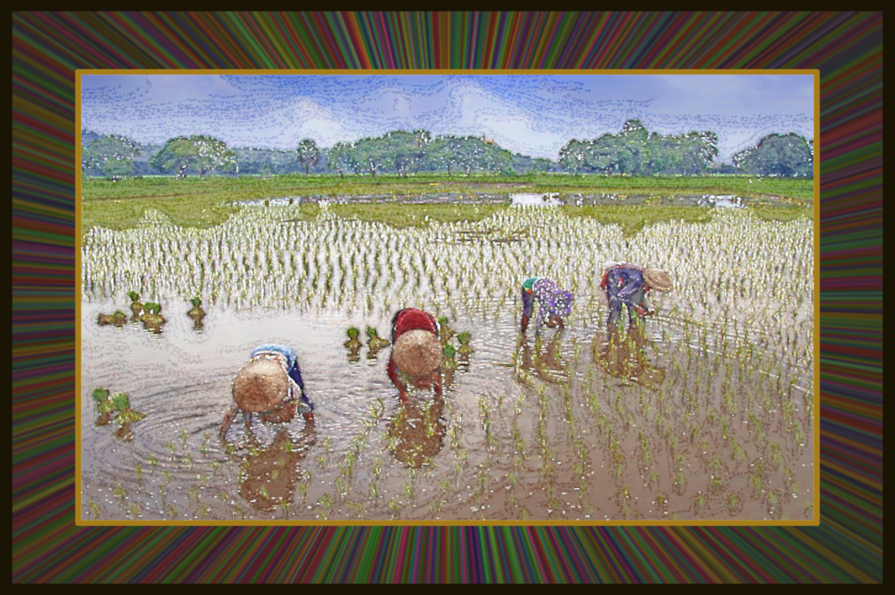 field-5430070_DN_DrawEffect_W.jpg