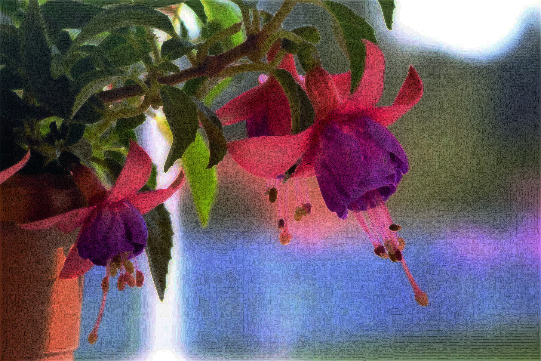 fuchsia-3383825_DN_DrawEffect_X.jpg