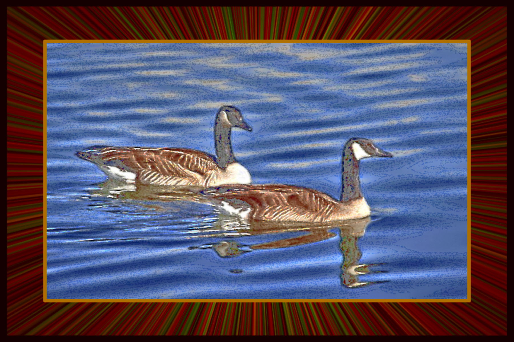pair-of-geese-on-the-water_DN_DrawEffect_W.jpg