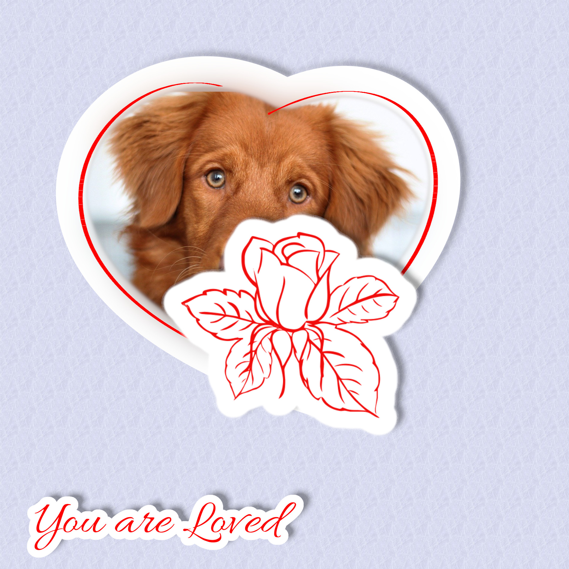 Pocholo_Diseño_Valentine_Card.jpg