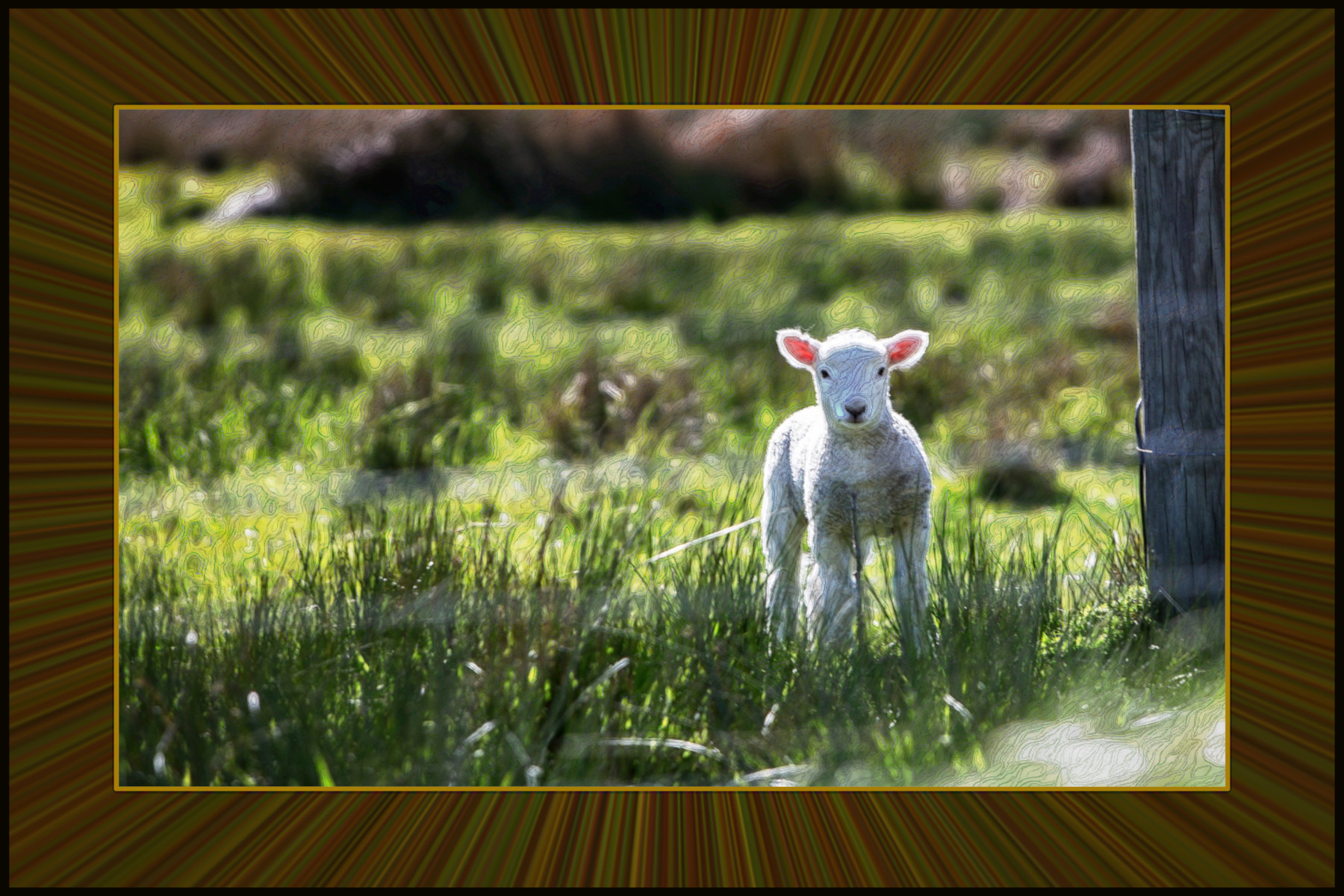 2021-02-27 07-29-57 lamb-1081950_1920 stroked by G'mic Afre plug-ins and Doodle fine strokes.jpeg